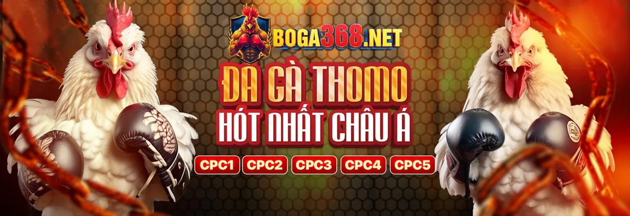 Hướng dẫn đăng ký 97win và nhận khuyến mãi