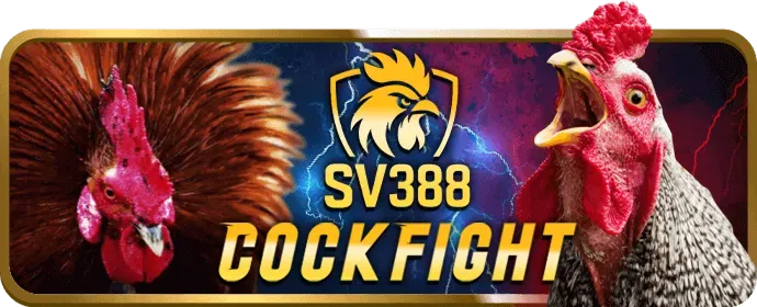 Ưu đãi cá nhân hóa VIP